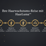 HaarLuma Results Timeline